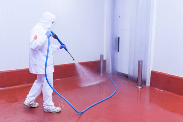 Best Soft Washing  in Bogota, NJ
